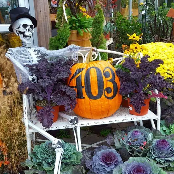 How to Display House Number Pumpkin (12 Unique Examples) • Creatively ...